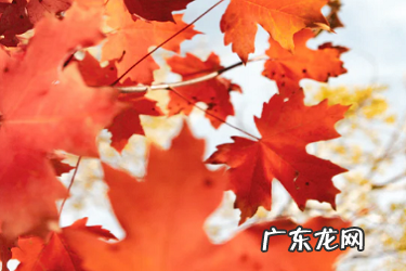 亚马逊会话百分比是什么意思?销售额怎么看?