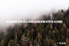 微信误删文件怎么找回 微信误删文件怎么找回