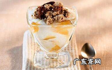 奇亚籽酸奶清肠 酸奶清肠