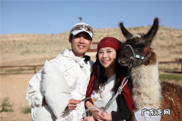 张铎陈松伶综艺 张铎陈松伶