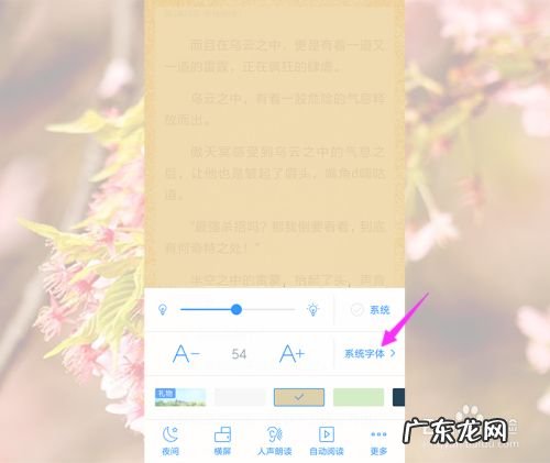 手机QQ阅读怎么修改小说字体,qq整个界面字体怎么改？