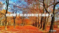 自制快手番薯干 烤番薯干做法