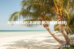 怎样做奥尔良烤鸡翅 怎样烤鸡翅