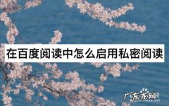 在百度阅读中怎么启用私密阅读