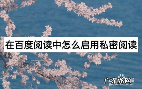 在百度阅读中怎么启用私密阅读