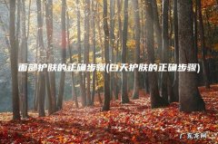 白天护肤的正确步骤 面部护肤的正确步骤