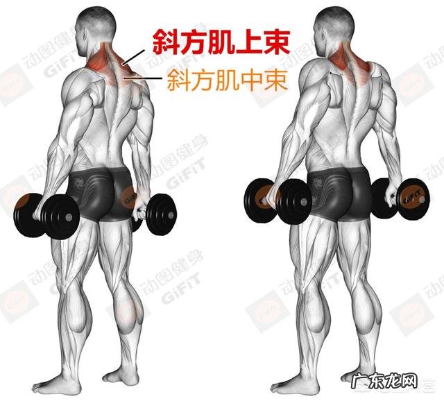 做固定器械训练，要怎么挑选合适的重量才能达到训练效果呢？