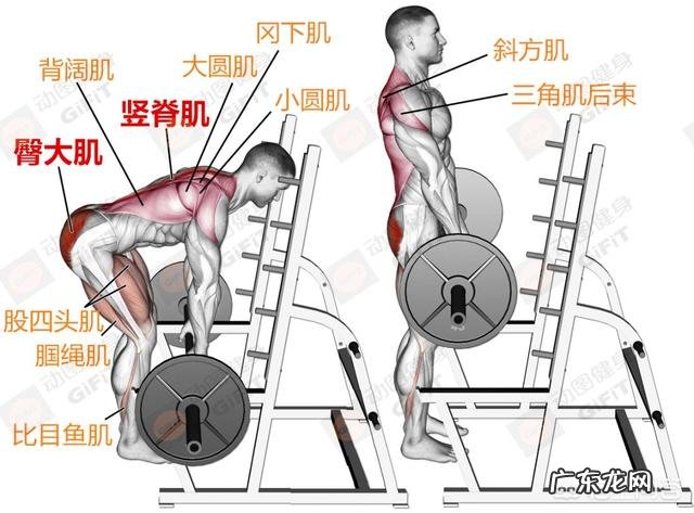 做固定器械训练，要怎么挑选合适的重量才能达到训练效果呢？