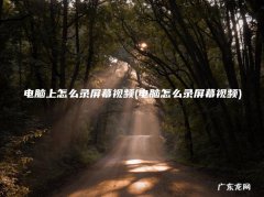 电脑怎么录屏幕视频 电脑上怎么录屏幕视频