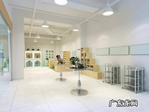 开个宠物店一月能赚钱,宠物店真心不赚钱?