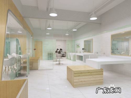 开个宠物店一月能赚钱,宠物店真心不赚钱?