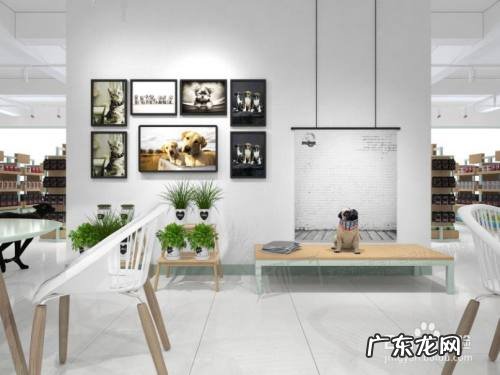 开个宠物店一月能赚钱,宠物店真心不赚钱?