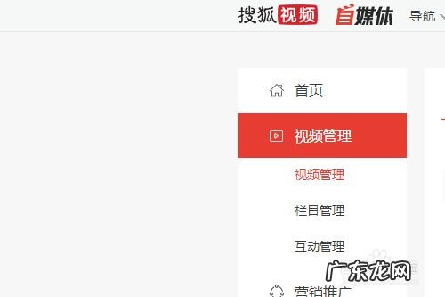 哪些自媒体号能赚钱