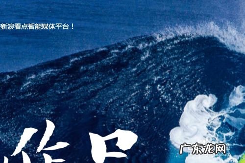 哪些自媒体号能赚钱