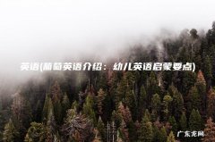 葡萄英语介绍：幼儿英语启蒙要点 英语