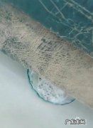 有什么灭蚊方法比较实用,家庭灭蚊最好方法？