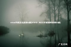 VIVO NEX手机如何使用U盘 vivo手机怎么连接u盘