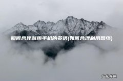 如何合理利用网络 如何合理利用手机的英语