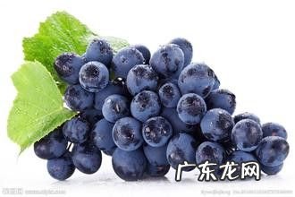 有什么水果解酒效果比较好的,可以解酒的水果有哪些?