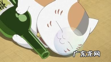 有什么水果解酒效果比较好的,可以解酒的水果有哪些?