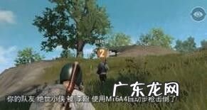 最稳的吃鸡战术,吃鸡战术思维?