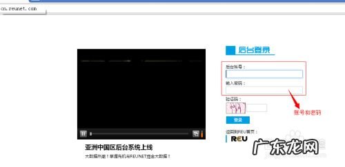 REU挂机赚钱教程,全自动挂机赚钱一天40元?