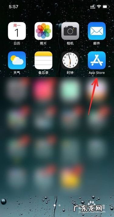 苹果手机如何查看购买项目,在苹果app购买了项目怎么取消?