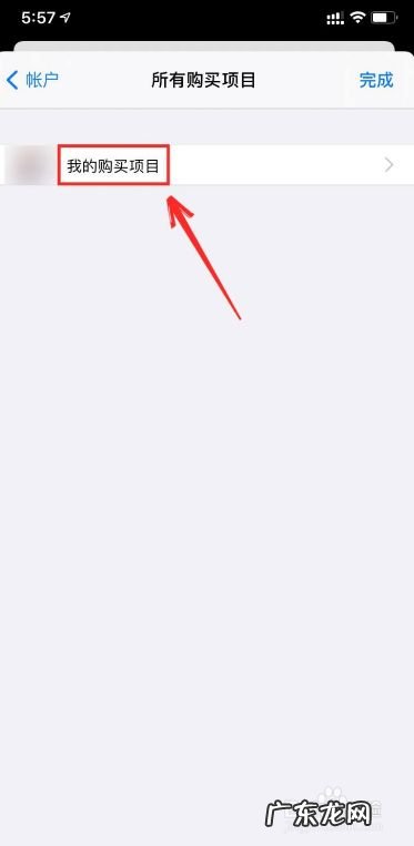 苹果手机如何查看购买项目,在苹果app购买了项目怎么取消?