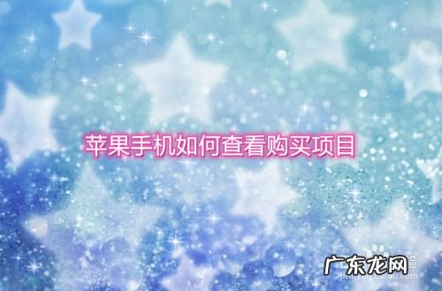 苹果手机如何查看购买项目,在苹果app购买了项目怎么取消?