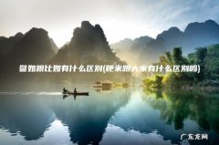 粳米跟大米有什么区别吗 譬如跟比如有什么区别