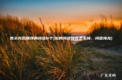 龙的词语接龙怎么接，词语接龙 表示先后顺序的词语6个