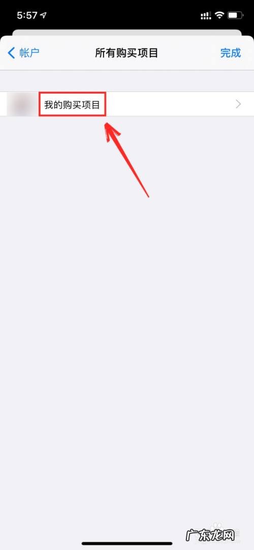苹果手机怎么查看购买项目,苹果手机怎么管理付费项目?