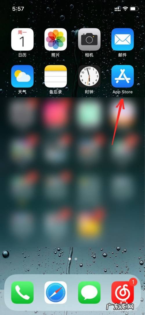 苹果手机怎么查看购买项目,苹果手机怎么管理付费项目?