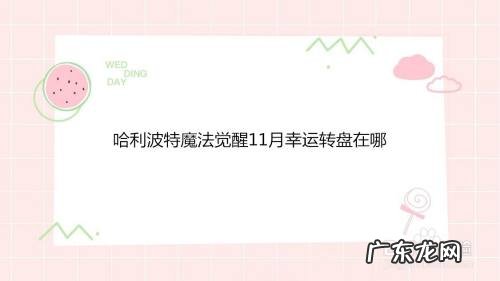 哈利波特魔法觉醒11月幸运转盘在哪,创造与魔法幸运转盘每次转需要多少?