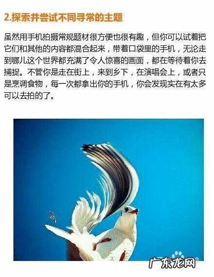 如何用手机拍照,想学手机拍摄怎么学?