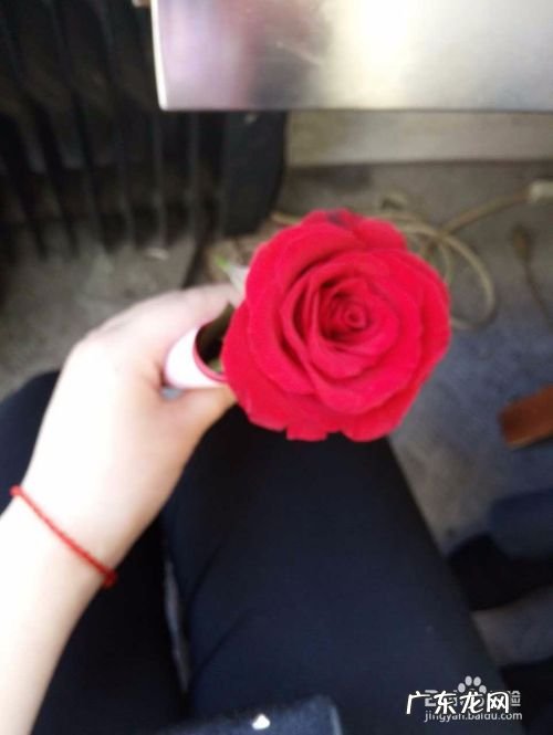 手机拍照几个小窍门,手机壳清洗方法?