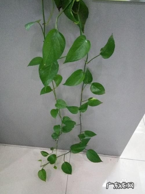 手机拍照怎么倒计时,华为手机拍照倒数5秒?