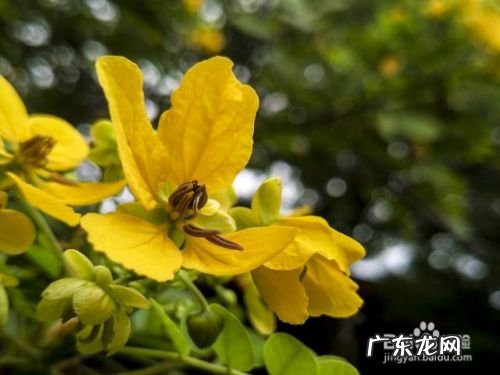 OPPO手机拍照怎么样,oppo的拍照真的好吗?