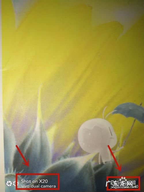 手机拍照如何设置时间和机型,华为哪款手机主打拍照?