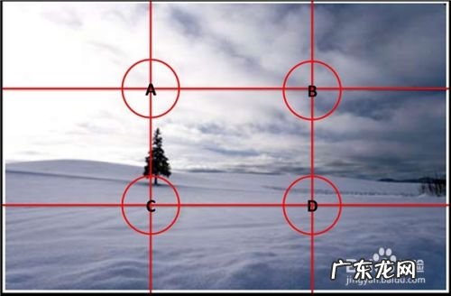 聊聊手机拍照那些事,聊聊保险那些事?