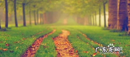 聊聊手机拍照那些事,聊聊保险那些事?