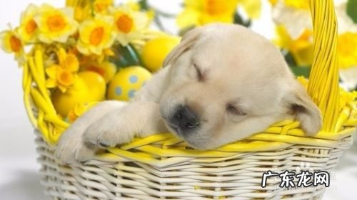 怎么学会网赚赚钱,有什么网站?