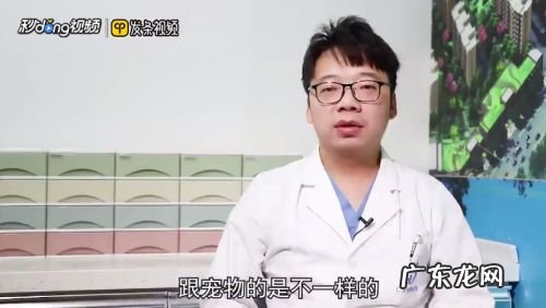 狗能用人的沐浴露吗,临时给狗狗洗澡用什么?