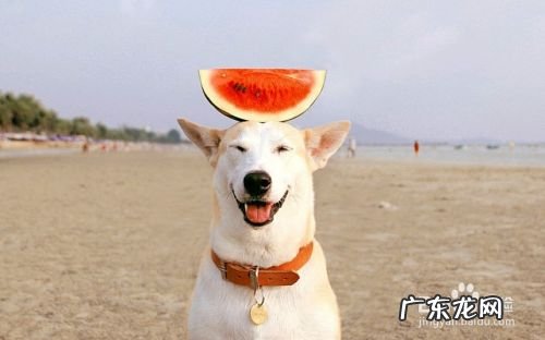 得上厌食症最快的方法,厌食症的10个前兆?