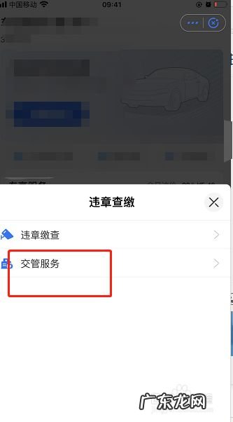 闯红灯最快的查询方法,怎么查当天的违章？
