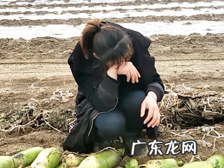 信用卡逾期被起诉立案后怎么解决