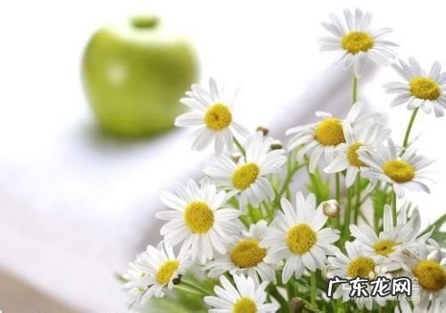 燕麦片怎么吃减肥最快的方法,早餐长期吃燕麦片好吗?