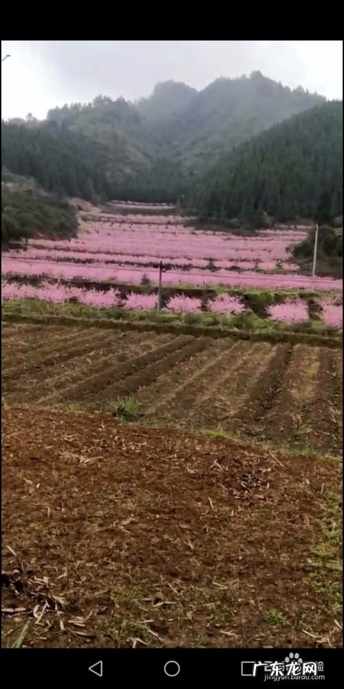 百度知道手机上赚钱的方法,网上最靠谱的赚钱方法?