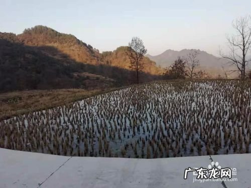 百度知道手机上赚钱的方法,网上最靠谱的赚钱方法?