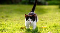 物体的重心一定在物体上吗